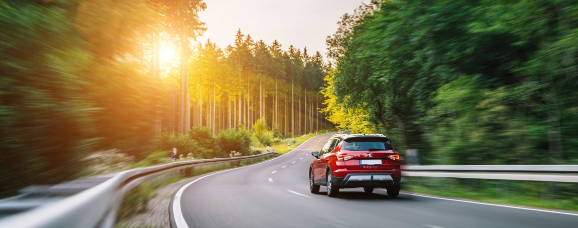 How The Drive Comes Alive