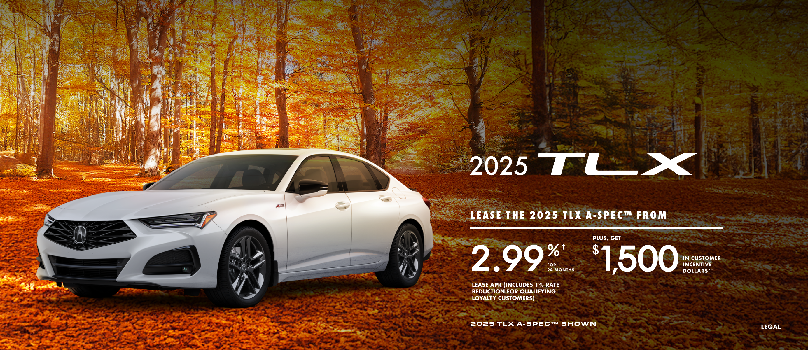 Special offer NAT-TLX-EN 2770x1200 slider_widget-4-6