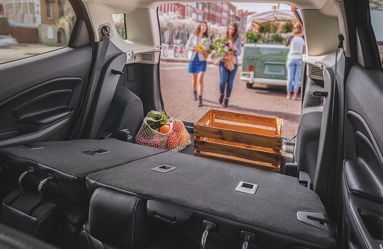 2020 Ford EcoSport cargo view