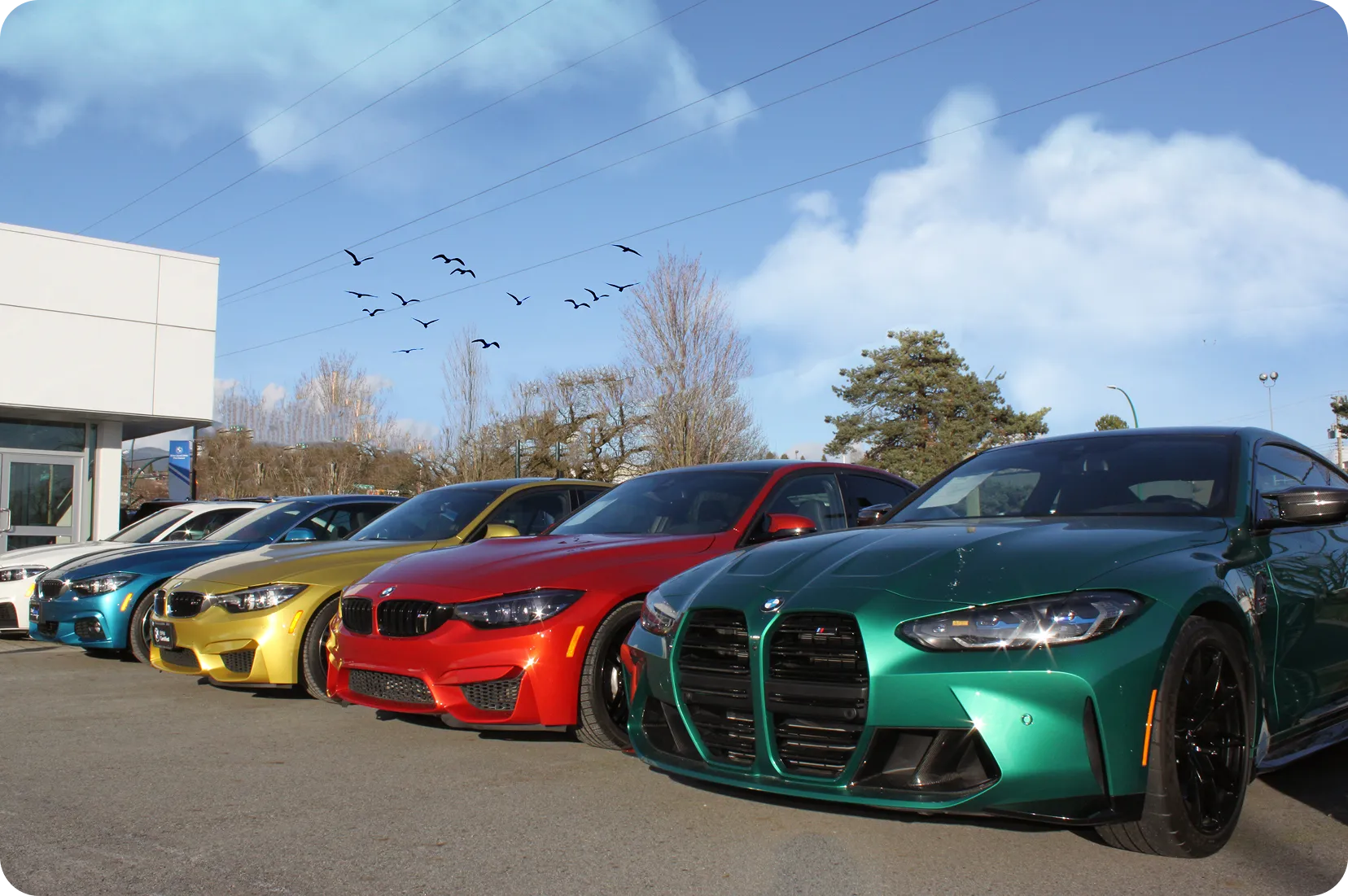 BMW vehicles ready for delivery