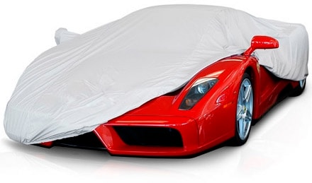 carcoverbigenzo.jpg